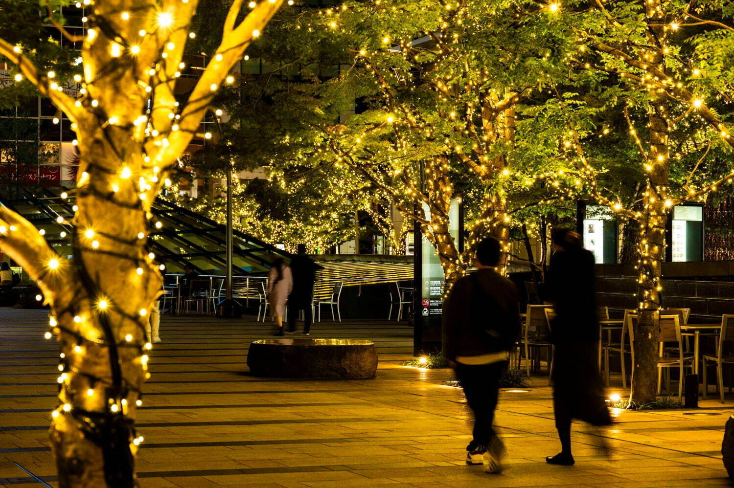 東京ミッドタウン“ゴールドに輝く”クリスマスイルミネーション、コーチとのコラボスケートリンクも｜写真10