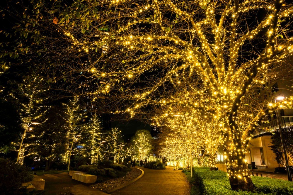 東京ミッドタウン“ゴールドに輝く”クリスマスイルミネーション、コーチとのコラボスケートリンクも｜写真12