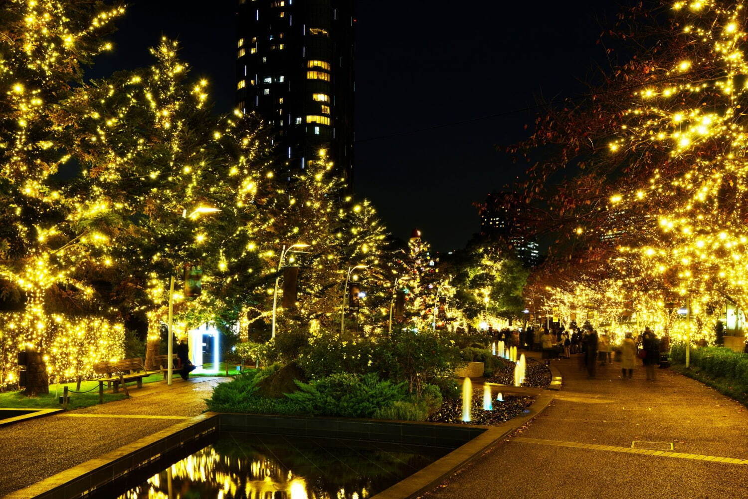 東京ミッドタウン“ゴールドに輝く”クリスマスイルミネーション、コーチとのコラボスケートリンクも｜写真2