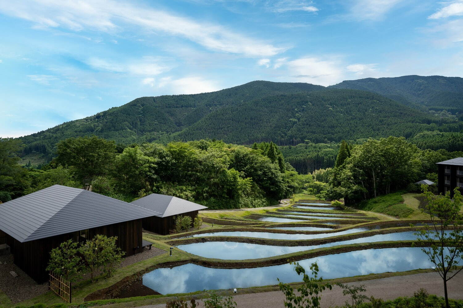 星野リゾートの温泉旅館「界 由布院」棚田テラスのライトアップ、大分の焼酎を楽しむプランも｜写真4