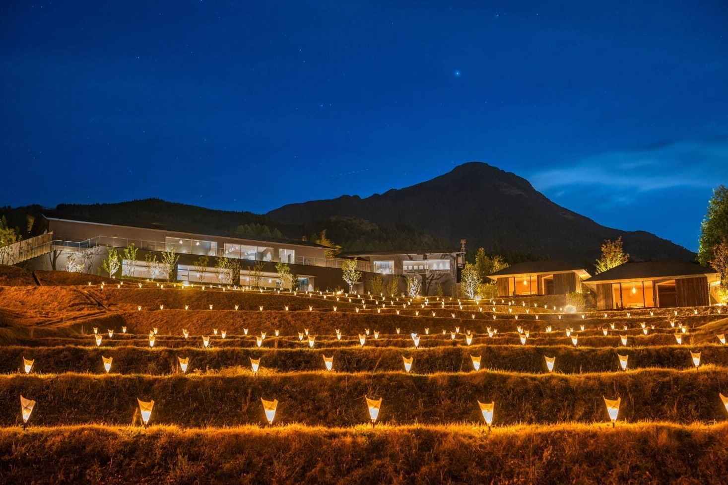 おつまみ｜星野リゾートの温泉旅館「界 由布院」棚田テラスのライトアップ、大分の焼酎を楽しむプランも