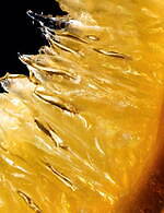 ゲラン(GUERLAIN) ゲルリナーデ｜写真11