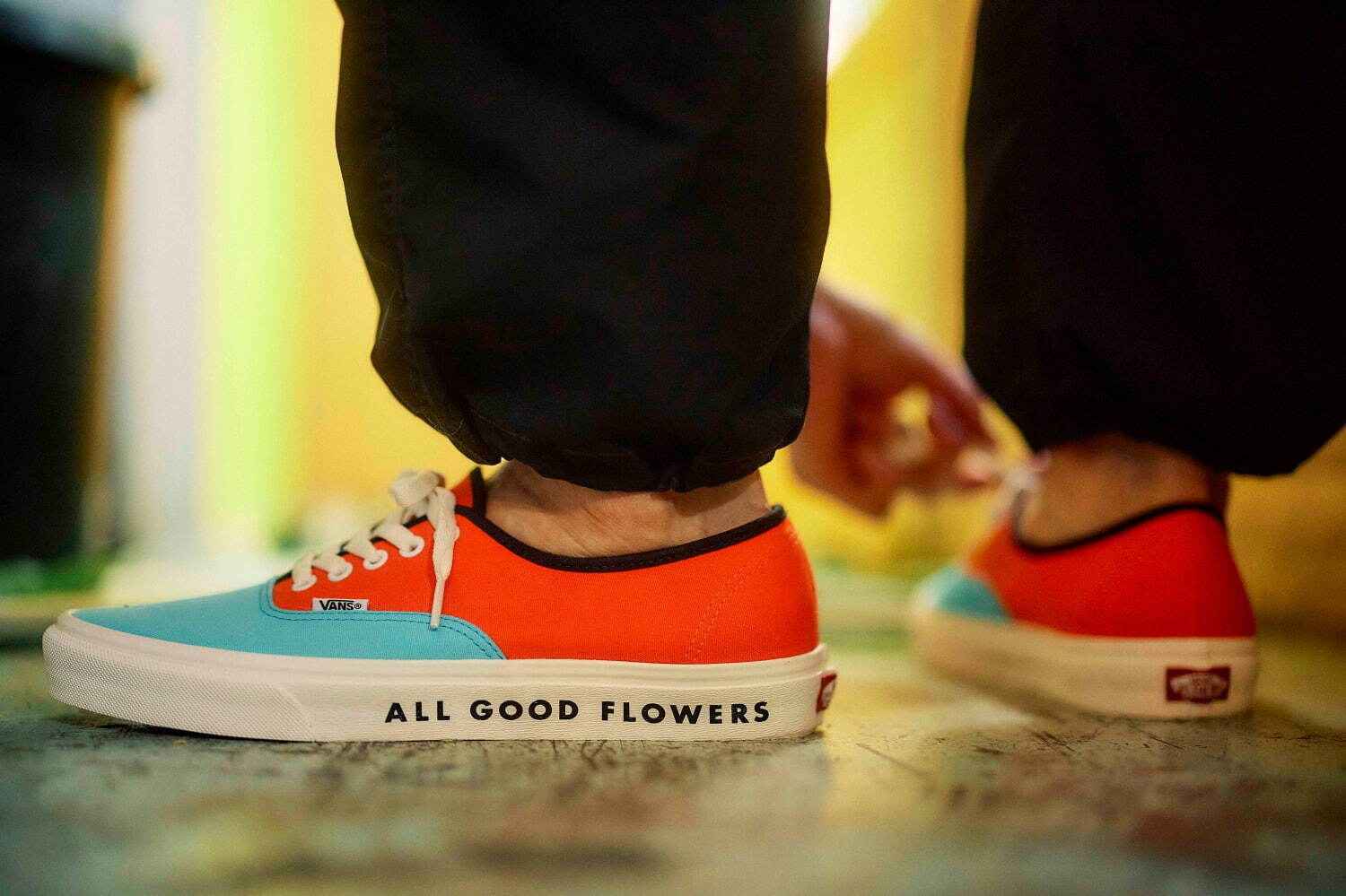ヴァンズ(Vans) オーセンティック｜写真7