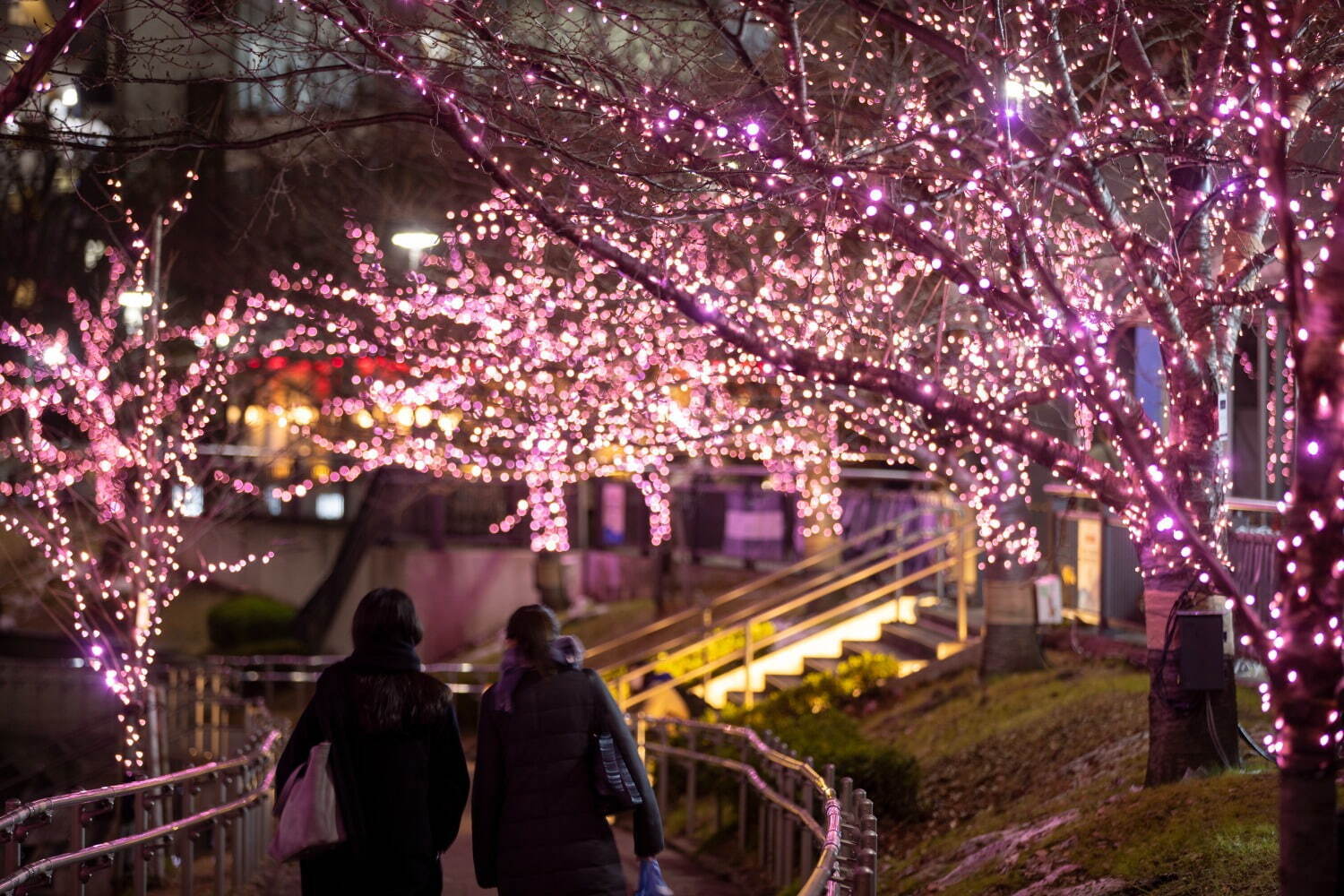 「目黒川みんなのイルミネーション2023」“冬の桜”が川沿いを彩る、約38万球のLEDが点灯｜写真4