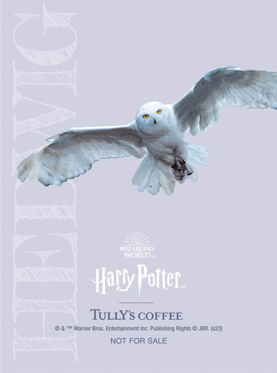 タリーズコーヒー×「ハリー・ポッター」限定グッズ、“ヘドウィグ