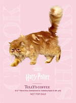 タリーズコーヒー(TULLY'S COFFEE) ハリー・ポッター 忍びの地図｜写真3