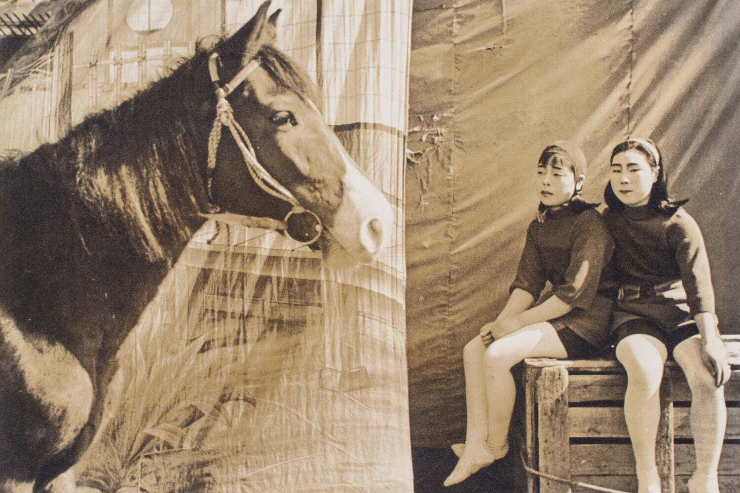 特別展｜関西の写真家・安井仲治の回顧展、兵庫県立美術館で - “心の震え”初期〜晩年の作品205点が一堂に