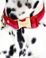 ケイト・スペード初のペットアイテム、カラフルストライプ＆ドット柄のリードやペット用ベッド｜写真9