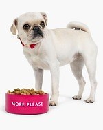 ケイト・スペード初のペットアイテム、カラフルストライプ＆ドット柄のリードやペット用ベッド｜写真1