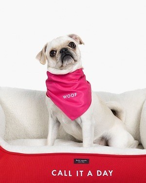新品】 ケイトスペード リード ペット 犬 愛犬 海外 アメリカ