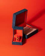 ヴァーミリオン(VERMILLION) 火・地・風・水｜写真23