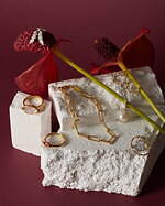 ヴァーミリオン(VERMILLION) 火・地・風・水｜写真13