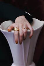 ヴァーミリオン(VERMILLION) 火・地・風・水｜写真41