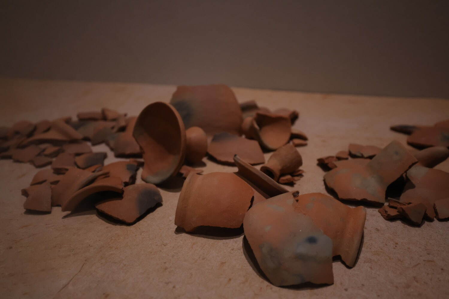 AAWAA 《丹》 展示風景