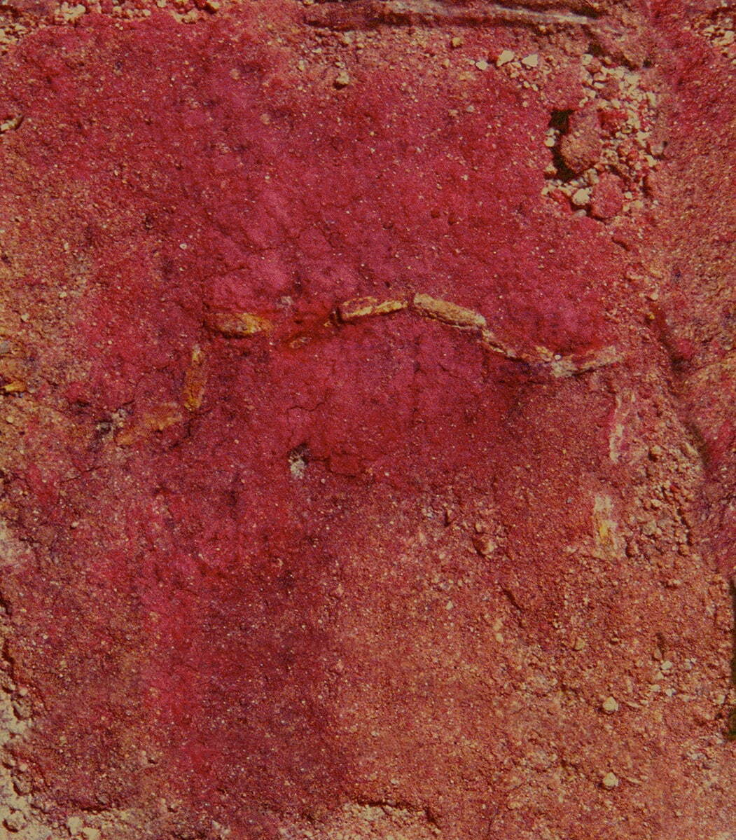 AAWAA 《丹》 2023年