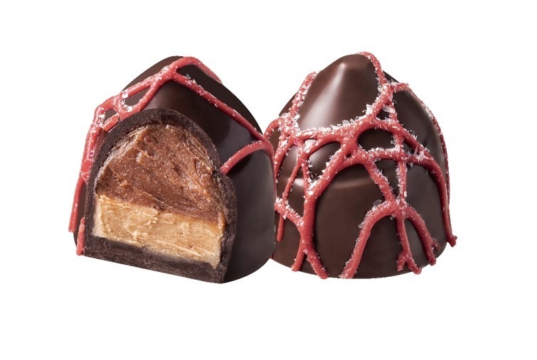 ゴディバ(GODIVA) 星降る森のクリスマス｜写真7