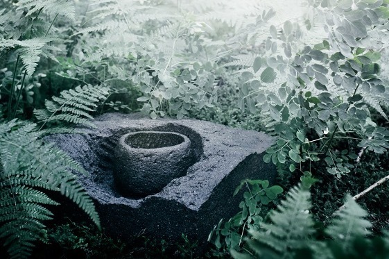 京都駅ビル: 2024年1月2日〜2024年1月29日開催、美術館「えき」KYOTO: 2024年1月2日〜2024年1月29日開催、他