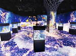マクセル アクアパーク品川のクリスマスイベント“星空の海”テーマの演出で海のいきものたちを彩る｜写真3