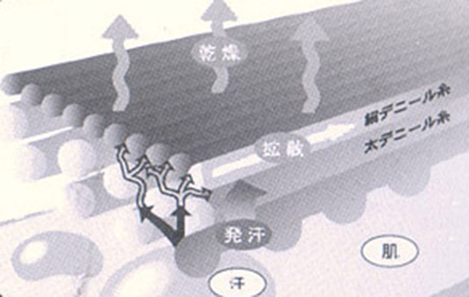 ワコール(WACOAL) 風と谷間のブラ｜写真3