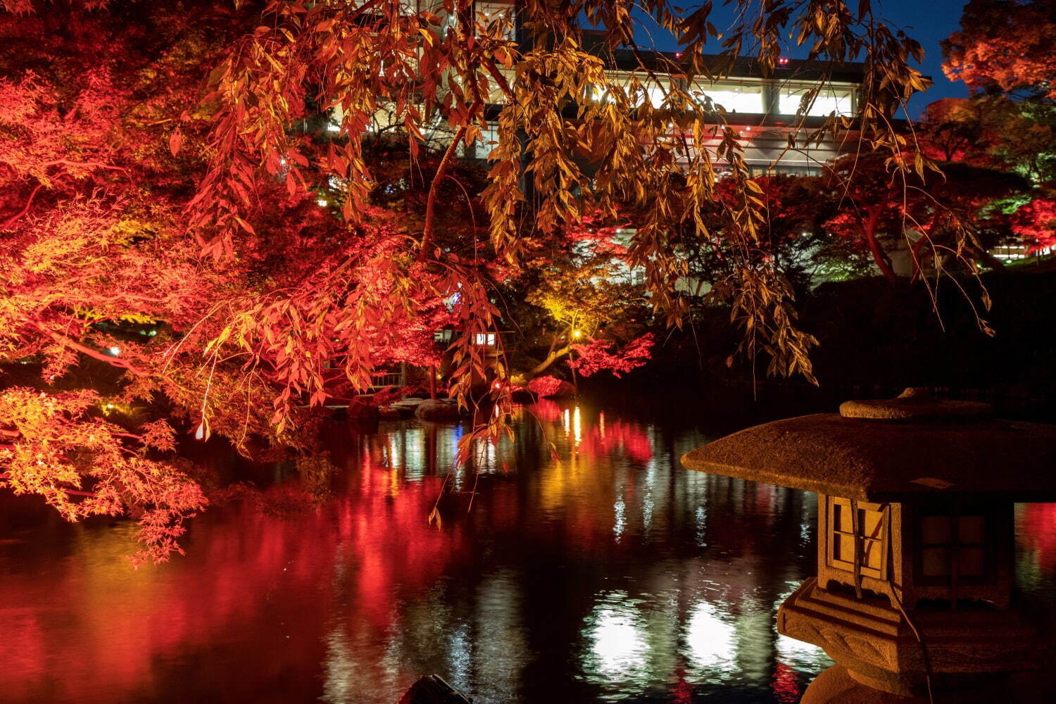 八芳園の秋イベント「トウキョウレッドガーデン」歴史ある日本庭園が赤一色に染まるライトアップ｜写真2
