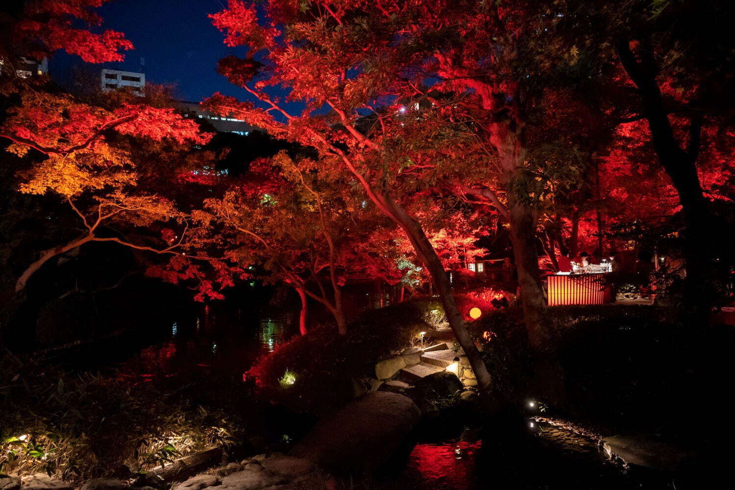 八芳園の秋イベント「トウキョウレッドガーデン」歴史ある日本庭園が赤一色に染まるライトアップ｜写真4