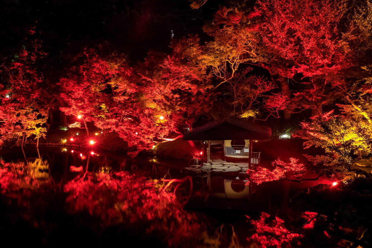 八芳園の秋イベント「トウキョウレッドガーデン」歴史ある日本庭園が赤一色に染まるライトアップ｜写真1
