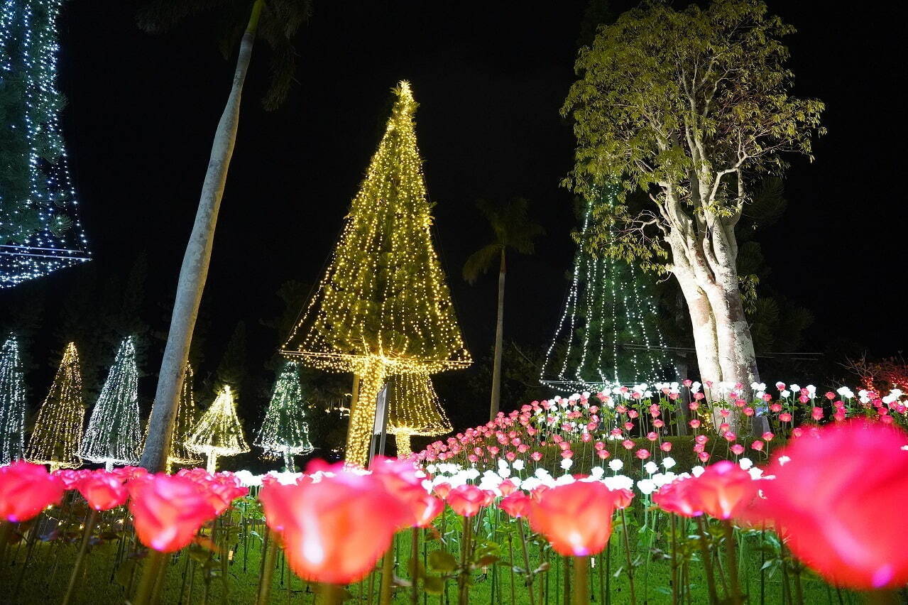 沖縄「美らヤシパークオキナワ・東南植物楽園」のイルミネーション、約400万球が沖縄らしい演出で点灯｜写真4