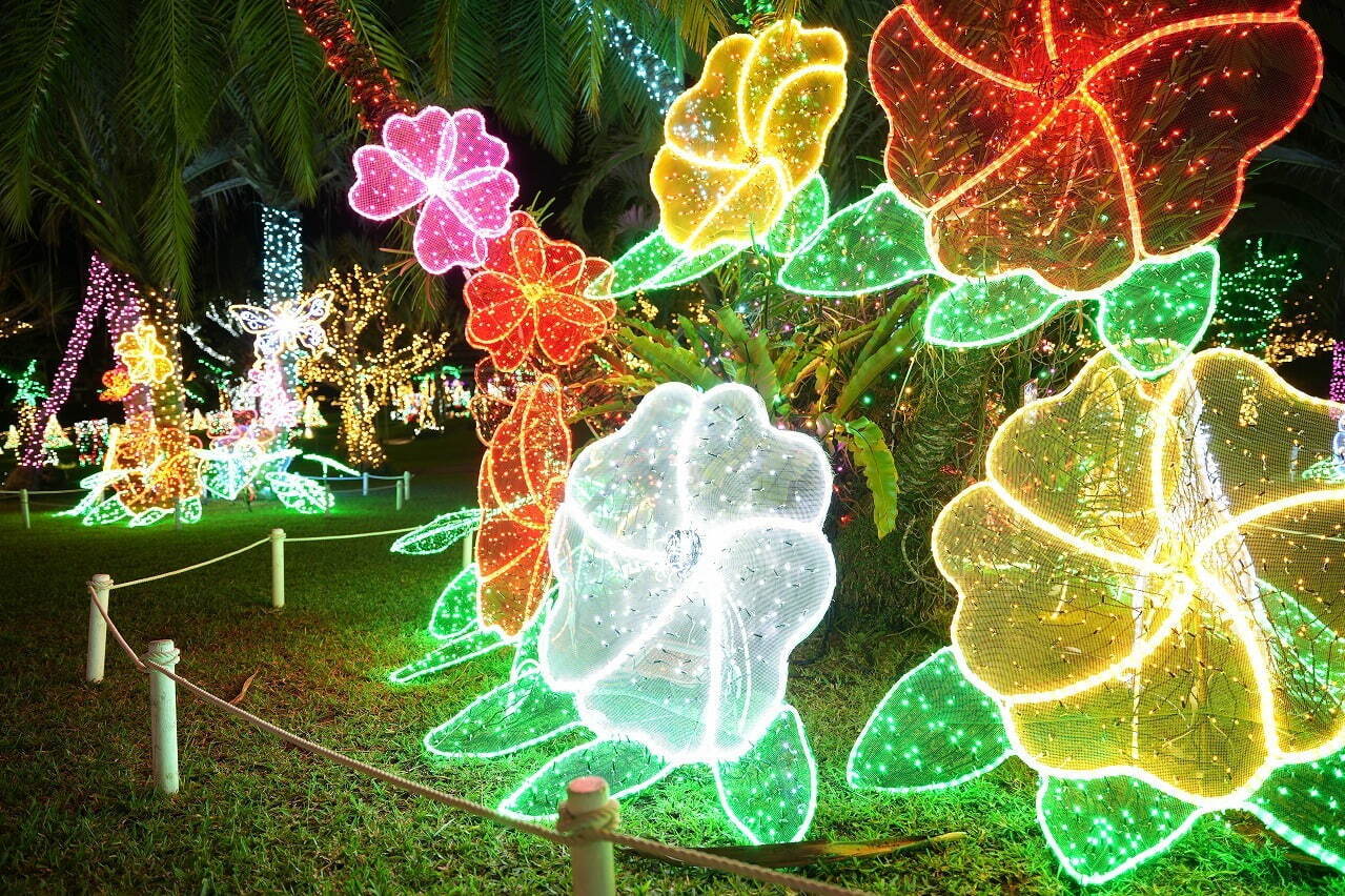 沖縄「美らヤシパークオキナワ・東南植物楽園」のイルミネーション、約400万球が沖縄らしい演出で点灯｜写真3