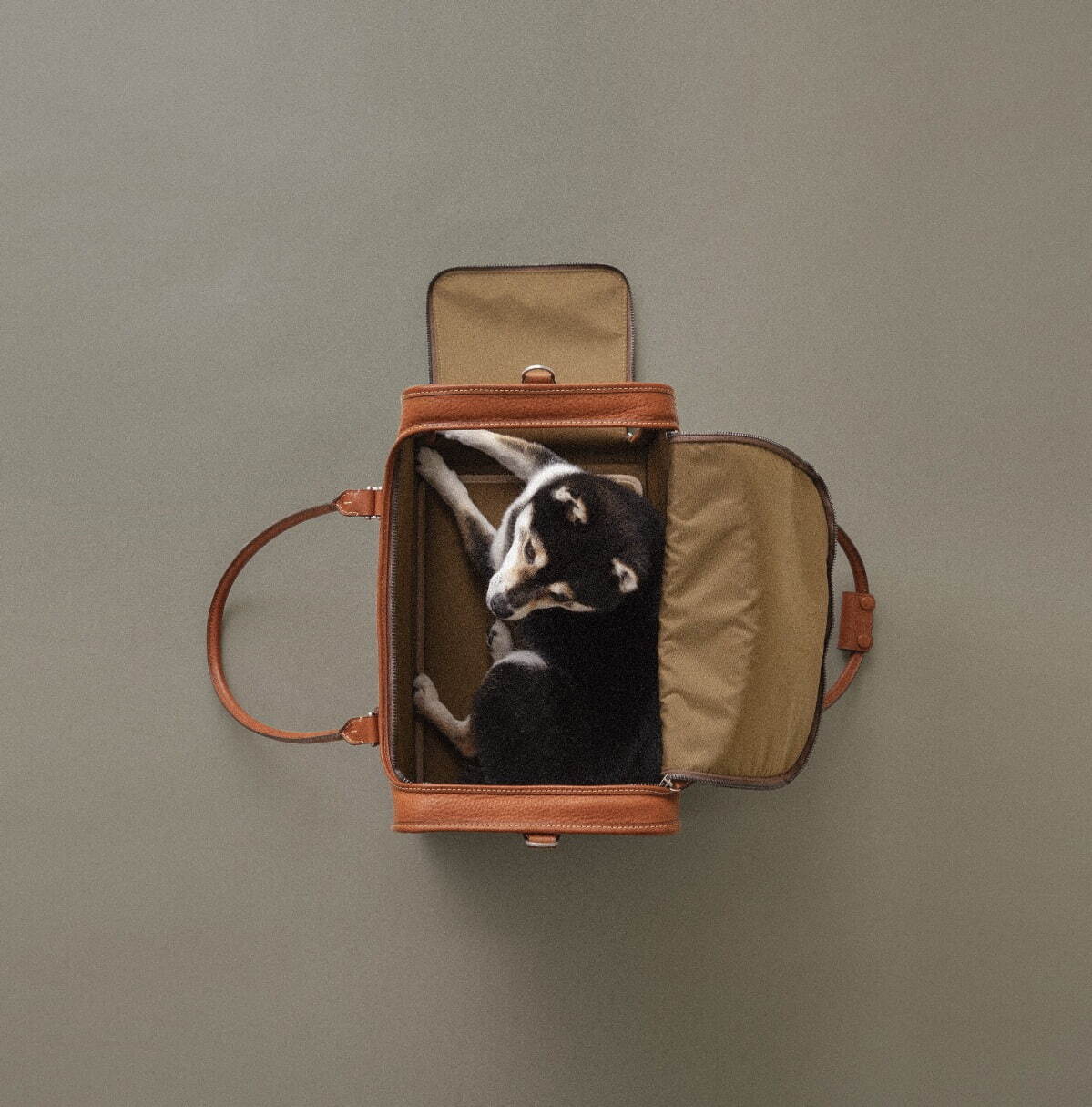 土屋鞄からブランド初のペットアイテム - ヌメ革のランドセルやキャリーバッグ、リードなど5種類｜写真9