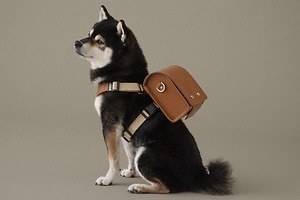 土屋鞄からブランド初のペットアイテム - ヌメ革のランドセルやキャリーバッグ、リードなど5種類