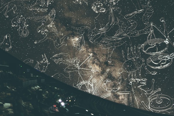 「熟睡プラ寝たリウム」