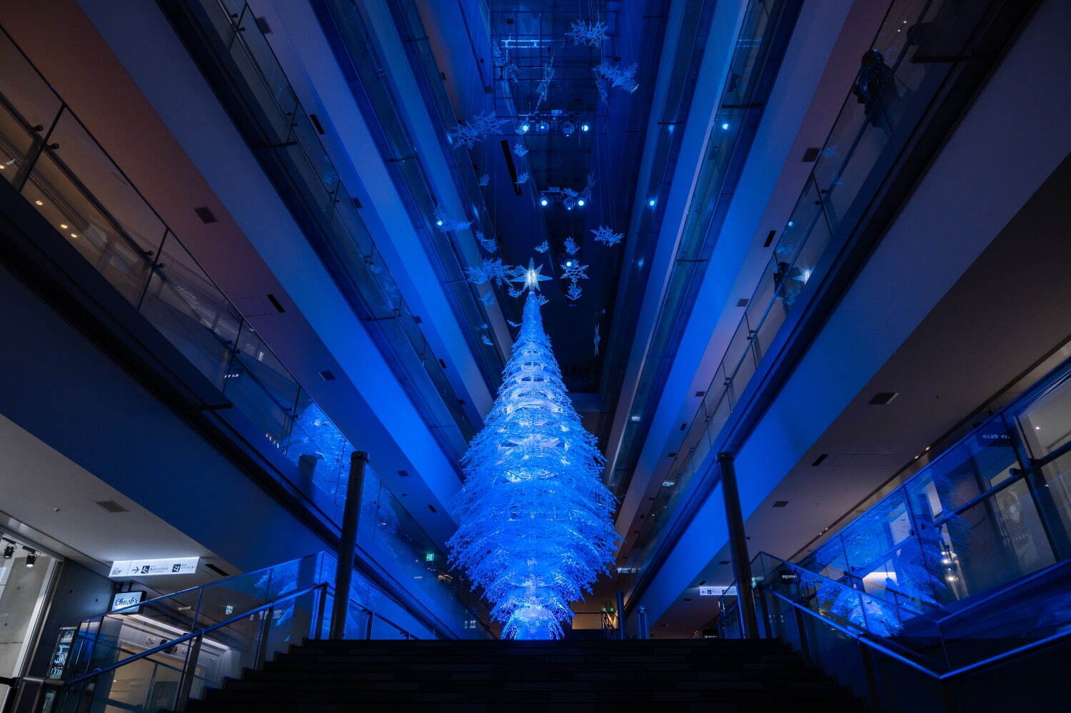 表参道ヒルズ23年クリスマスイルミネーション、“雪の結晶”約500個が透明の光を放つツリー｜写真10