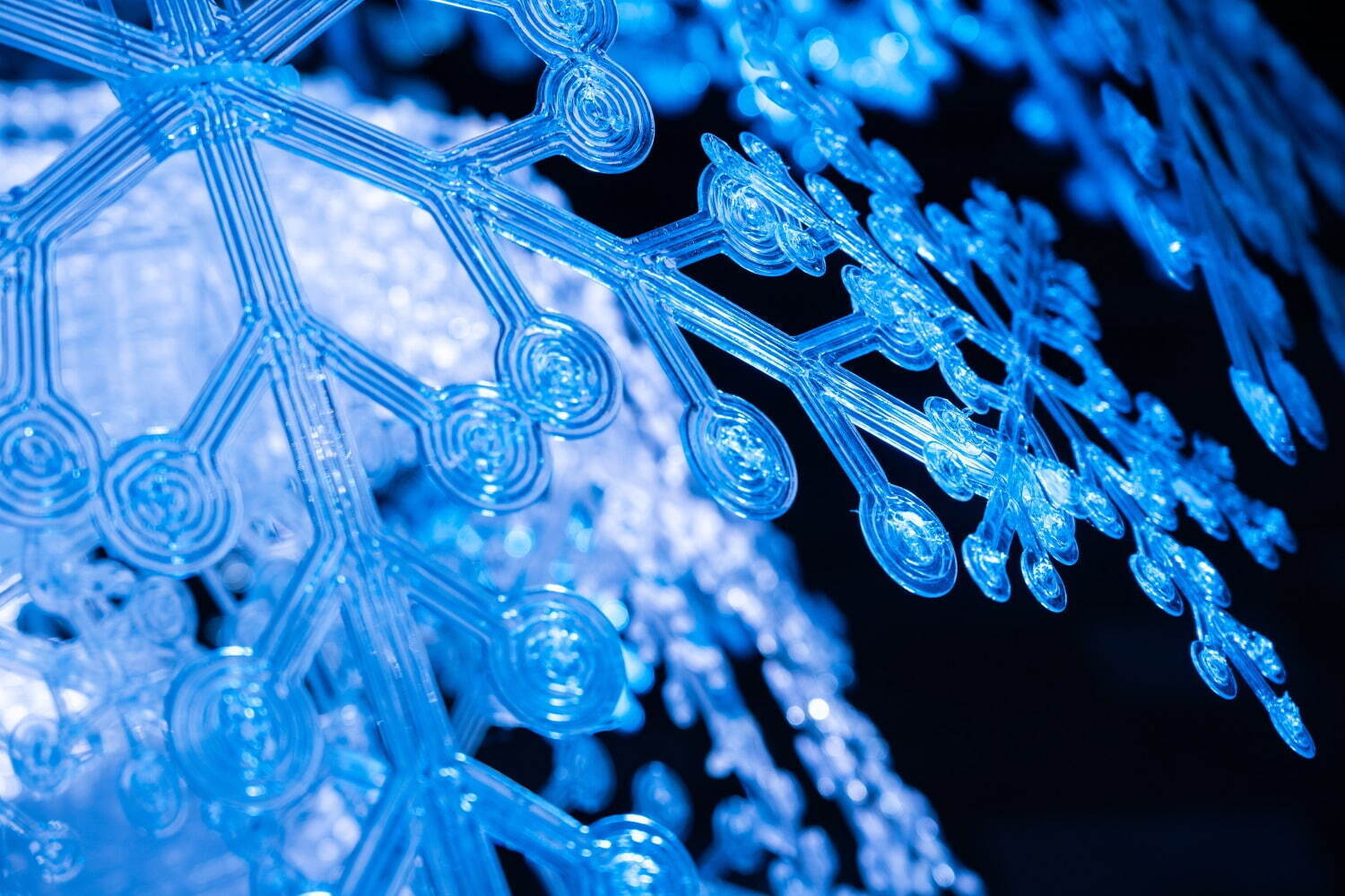 表参道ヒルズ23年クリスマスイルミネーション、“雪の結晶”約500個が透明の光を放つツリー｜写真4