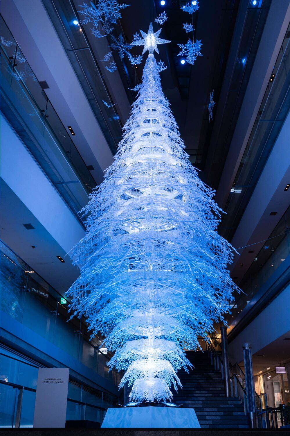 表参道ヒルズ23年クリスマスイルミネーション、“雪の結晶”約500個が透明の光を放つツリー｜写真2