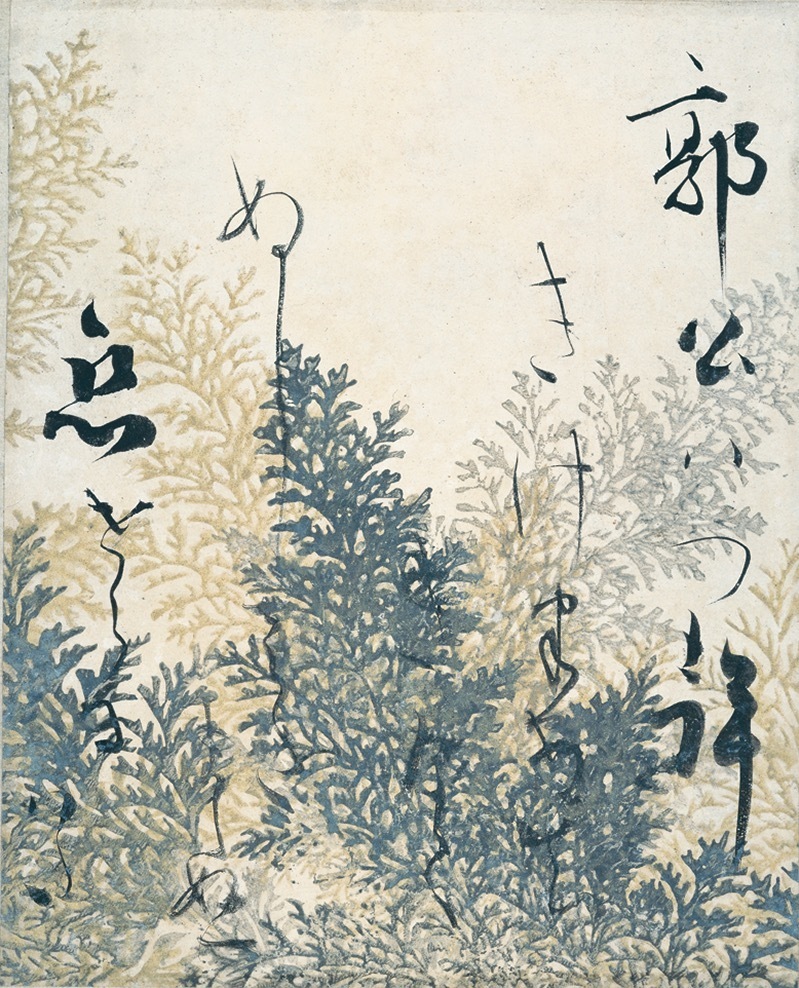 本阿弥光悦書、俵屋宗達下絵 《忍草下絵和歌色紙「郭公」》 江戸時代前期　細見美術館蔵