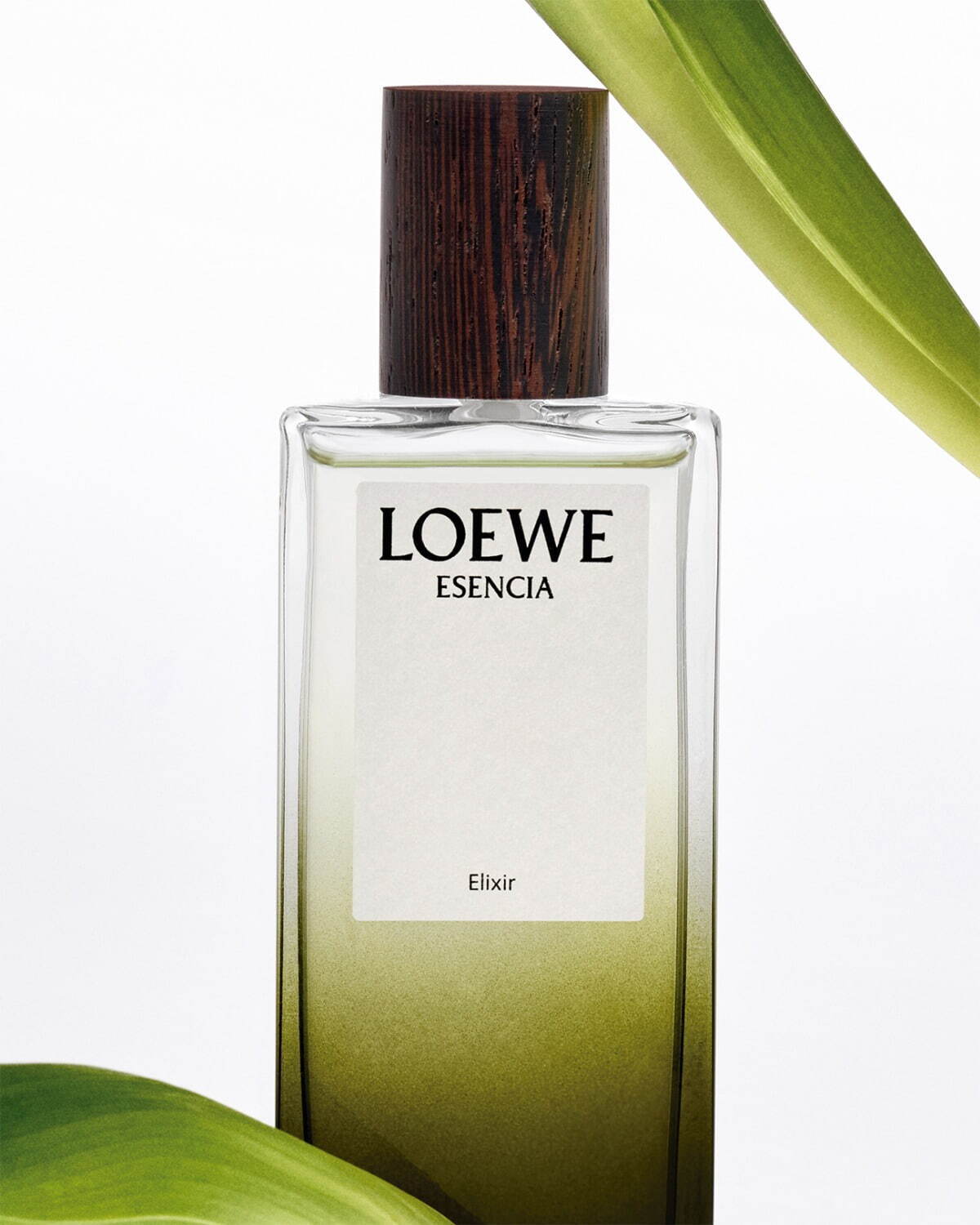 ロエベ パルファム(LOEWE Perfumes) ロエベ エリクシール｜写真9