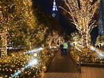 「新宿ミナミルミ」新宿駅南口のイルミネーション、“体験型”の光の演出やクリスマスツリー｜写真8