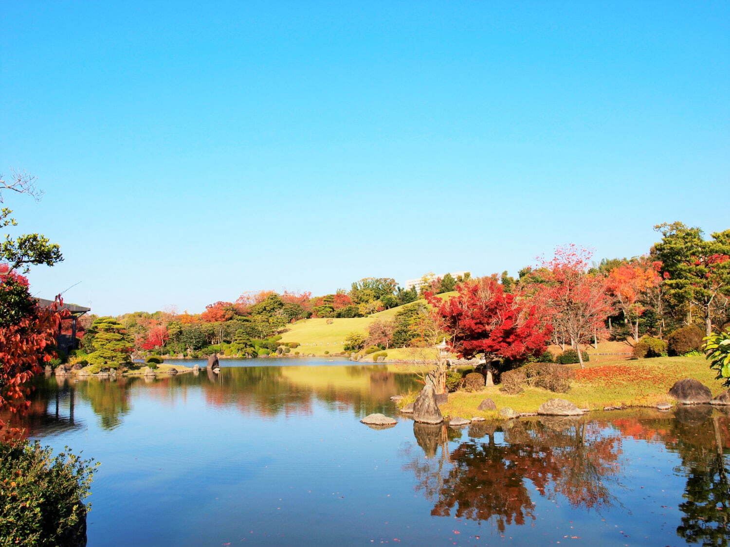 大阪・万博記念公園「紅葉まつり」“紅色＆黄色”に染まる約1万本の紅葉、茶室の特別公開や野菜マルシェも｜写真2