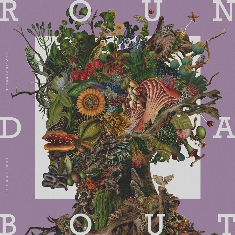 キタニタツヤ ROUNDABOUT 呪術廻戦 青のすみか｜写真2
