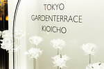 東京ガーデンテラス紀尾井町のイルミネーション2023、“ローズが輝く”クリスマスツリーなど｜写真8
