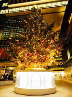 東京ガーデンテラス紀尾井町のイルミネーション2023、“ローズが輝く”クリスマスツリーなど｜写真2