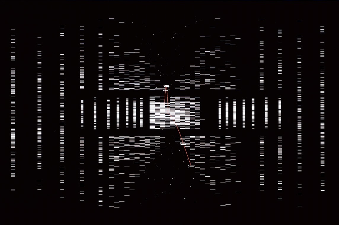 池田亮司の特別展示が金沢21世紀美術館で - ミクロ〜マクロの世界を探る新作インスタレーションを展開