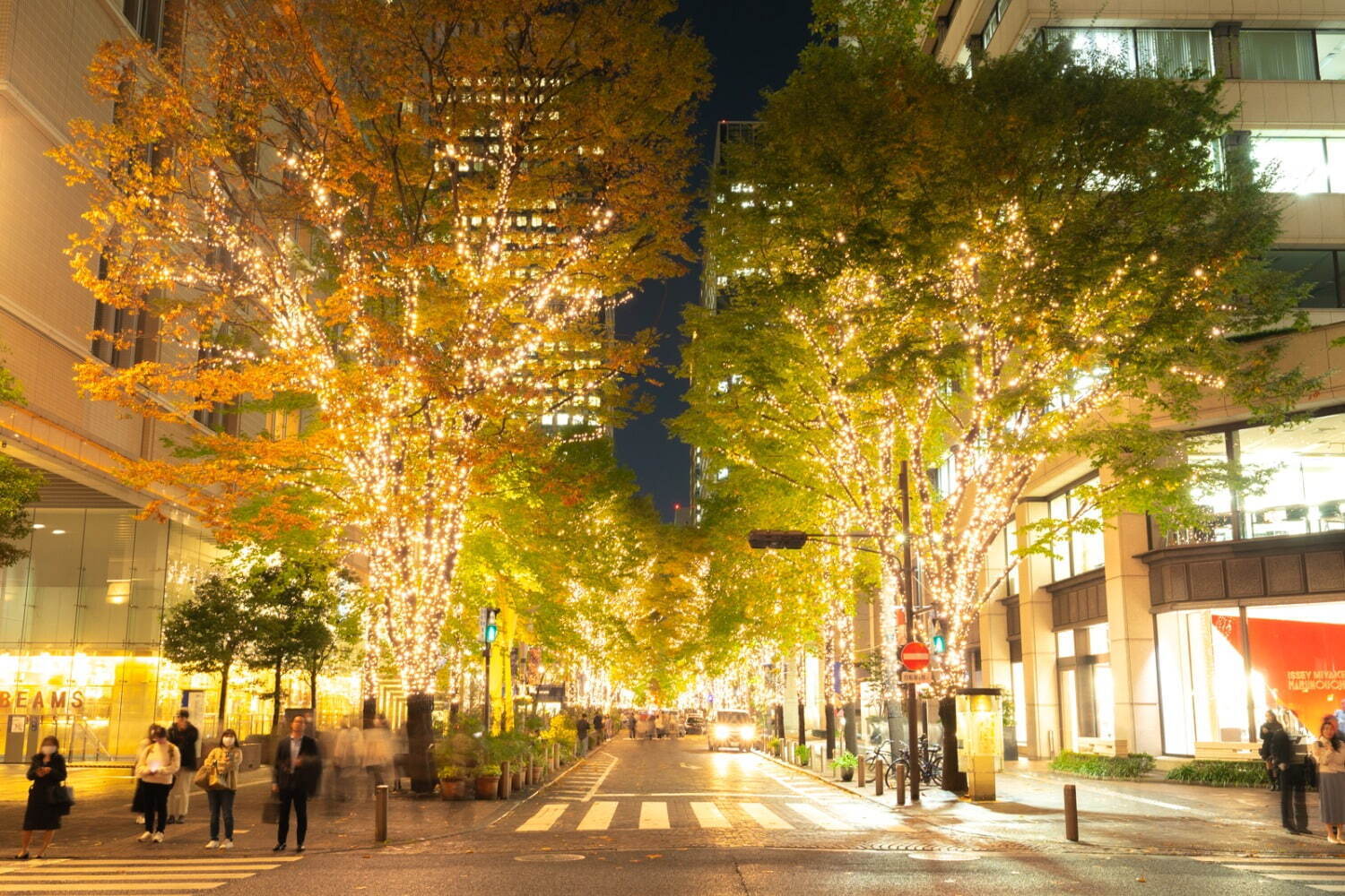 東京都内・関東の冬イベント、イルミネーションやクリスマスマーケットなど注目お出かけ＆デートスポット | 写真