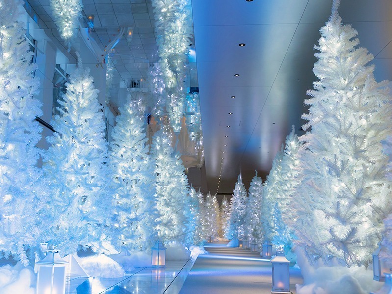 大阪・梅田スカイビルのクリスマス、空中庭園にホワイトツリー輝く森＆花々が咲く巨大スノードーム｜写真1