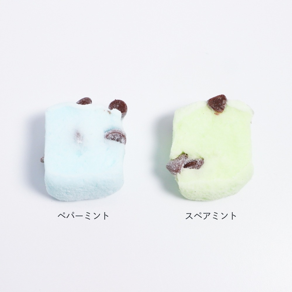 パパブブレ(PAPABUBBLE) チョコミントシリーズ｜写真9