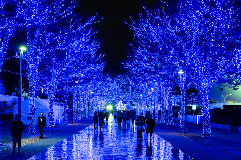 「青の洞窟 SHIBUYA」約77万球“青いイルミネーション”で彩る渋谷の街、クリスマスマーケットも｜写真9