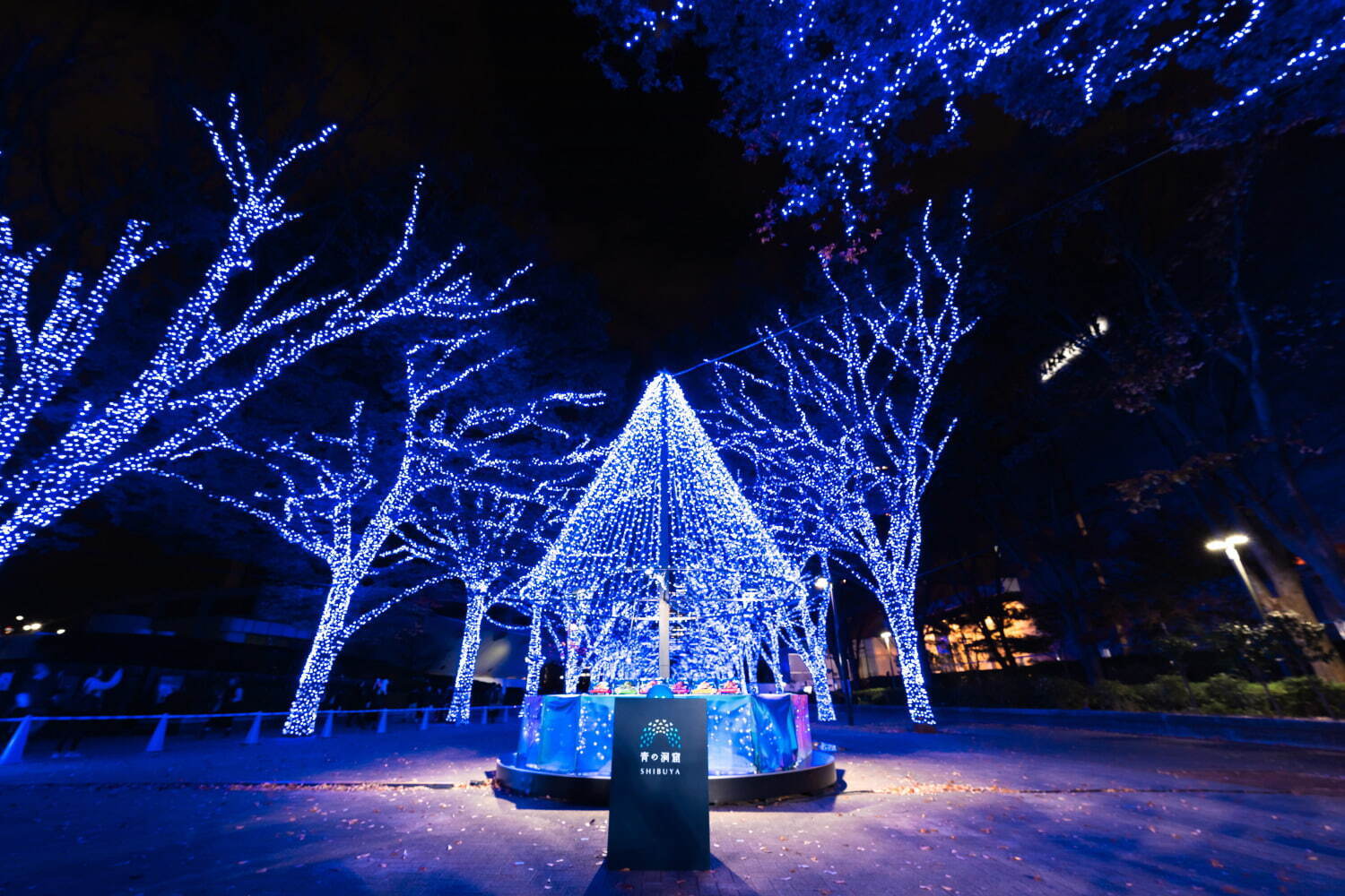 「青の洞窟 SHIBUYA」約77万球“青いイルミネーション”で彩る渋谷の街、クリスマスマーケットも｜写真7