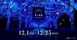 「青の洞窟 SHIBUYA」約77万球“青いイルミネーション”で彩る渋谷の街、クリスマスマーケットも｜写真11