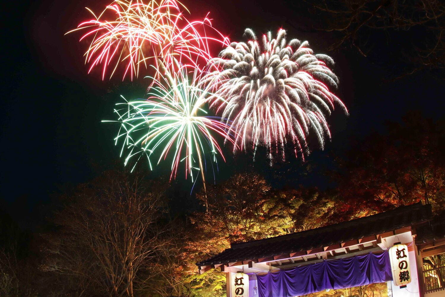 静岡・修善寺虹の郷の紅葉イベント「もみじライトアップ」約2,000本が見頃に、花火やランタンも｜写真5