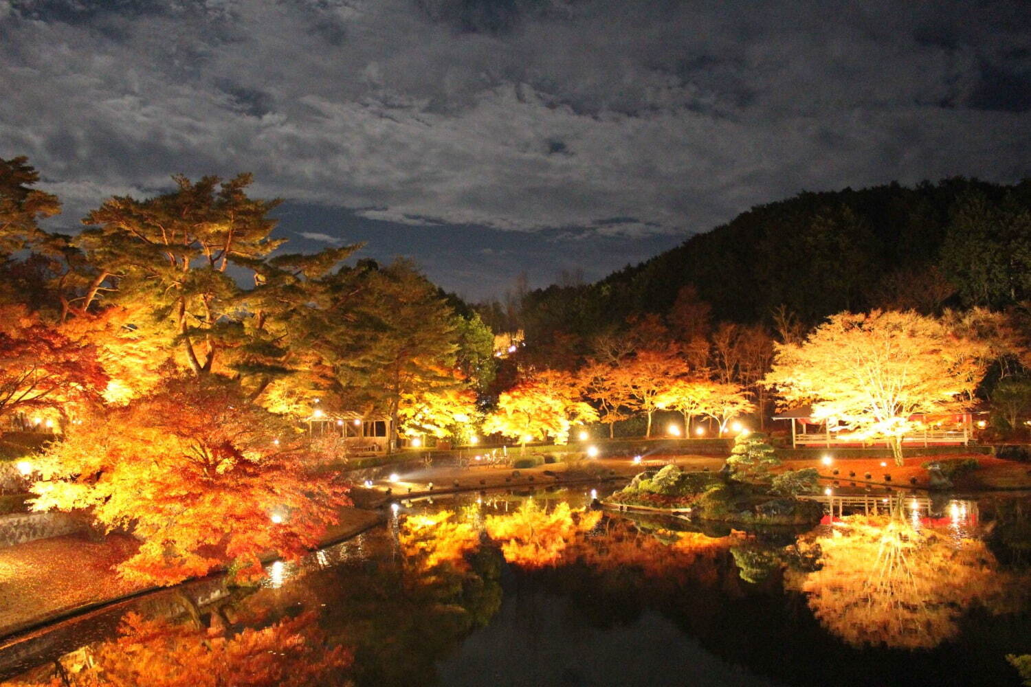 静岡・修善寺虹の郷の紅葉イベント「もみじライトアップ」約2,000本が見頃に、花火やランタンも｜写真1